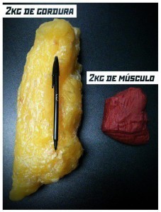 Gordura x Músculo